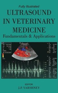 bokomslag Ultrasound in Veterinary Medicine: Fundamentals and Applications: Fully Illustrated