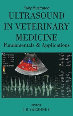 Ultrasound in Veterinary Medicine: Fundamentals and Applications: Fully Illustrated 1