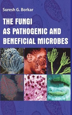 Fungi As Pathogenic and Beneficial Microbes