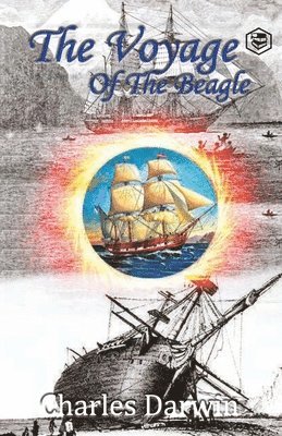 Charles Darwin, Darwin ,Charles - Voyage of the Beagle, Häftad