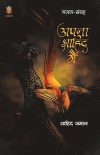 bokomslag Apna Shahid Main