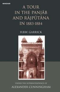 bokomslag A Tour in the Panjab and Rajputana in 1883-1884: Under the Supterintendence of Alexander Cunningham