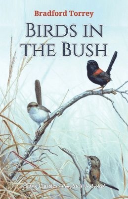 Birds in the Bush 1