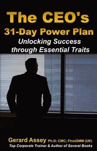 bokomslag The CEO's 31-Day Power Plan