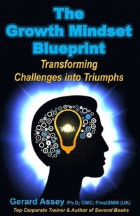bokomslag The Growth Mindset Blueprint: Transforming Challenges into Triumphs'- #Growth Mindset Development #Cultivating a Growth Mindset #Mastering the Growt