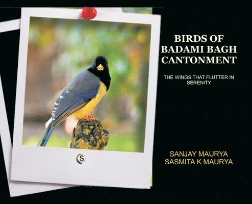 Birds of Badami Bagh Cantonment