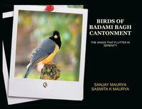 bokomslag Birds of Badami Bagh Cantonment