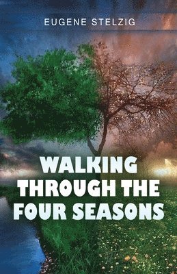 Walking Through The Four Seasons