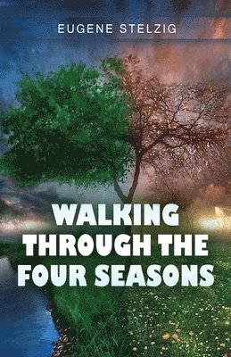 Walking Through The Four Seasons 1