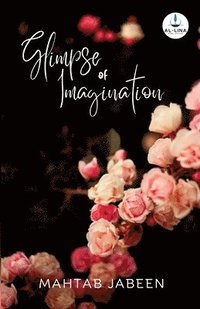 bokomslag Glimpse Of Imagination
