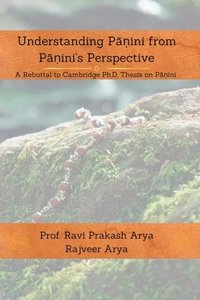 bokomslag Understanding P??ini from P??ini's Perspective: A Rebuttal to Cambridge PhD Thesis on P??ini