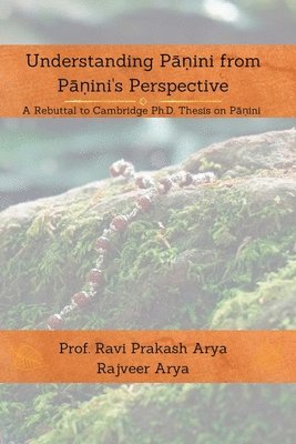 bokomslag Understanding P??ini from P??ini's Perspective: A Rebuttal to Cambridge PhD Thesis on P??ini