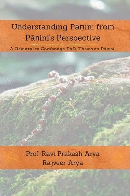 Understanding P&#257;&#7751;ini from P&#257;&#7751;ini's Perspective 1