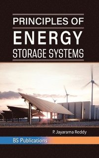 bokomslag Principles of Energy Storage Systems