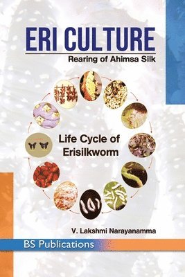 bokomslag Eri Culture: Rearing of Ahimsa Silk