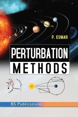 bokomslag Perturbation Methods