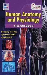 bokomslag Human Anatomy and Physiology