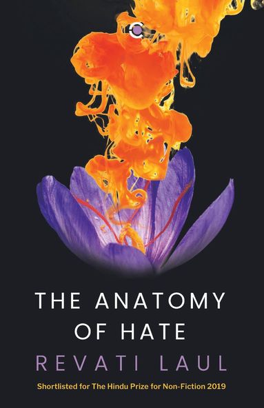 bokomslag Anatomy Of Hate