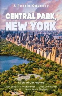 bokomslag Mbaye, A: Central Park New York