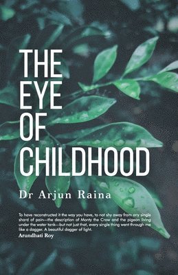 bokomslag Eye of Childhood