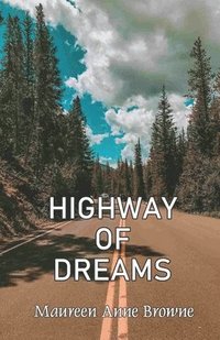 bokomslag Highway of Dreams