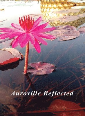 Auroville Reflected 1