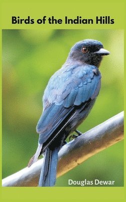Douglas Dewar - Birds of the Indian Hills, Inbunden