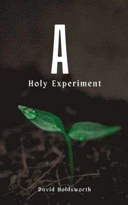 bokomslag Holy Experiment