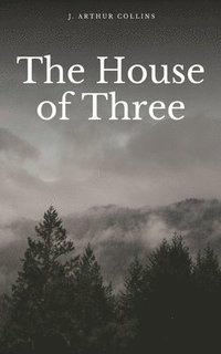 bokomslag House of Three