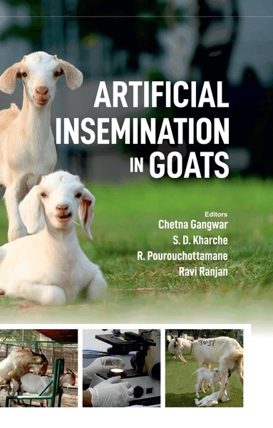 R.Pourouchottamane &  Ravi Ranjan, Chetna Gangwar, S.D.Karche, Chetna Gangwar, S.D. Karche, R. Pourouchottamane, Ravi Ranjan - Artificial Insemination in Goats, Inbunden