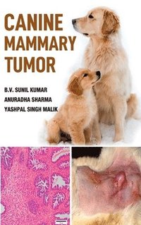 bokomslag Canine Mammary Tumor