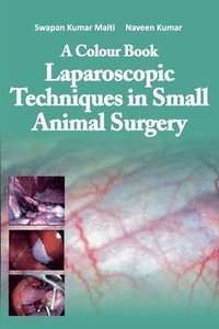 bokomslag A Colour Book: Laparoscopic Techniques in Small Animal Surgery