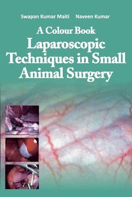 bokomslag A Colour Book: Laparoscopic Techniques in Small Animal Surgery