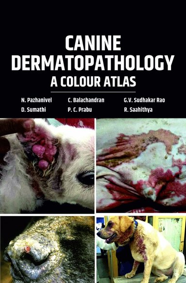N. Pazhanivel, C. Balachandran, Ganne Venkata Sudhakar Rao, D. Sumathi, P. C. Prabu, R. Saahithya - Canine Dermatopathology, Inbunden