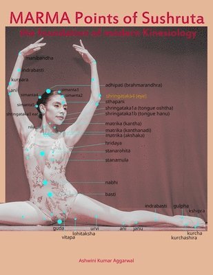 Ashwini Kumar Aggarwal - Marma Points of Sushruta the foundation of Modern Kinesiology, Häftad