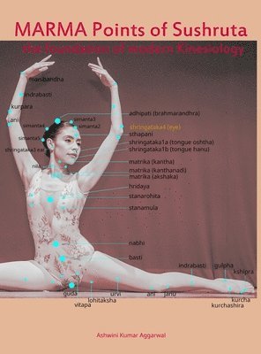 bokomslag Marma Points of Sushruta the foundation of Modern Kinesiology