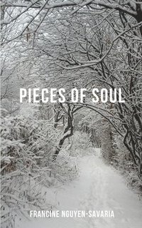 bokomslag Pieces of Soul