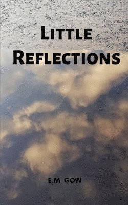 Little reflections 1