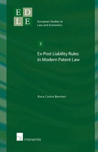 bokomslag Ex-Post Liability Rules in Modern Patent Law