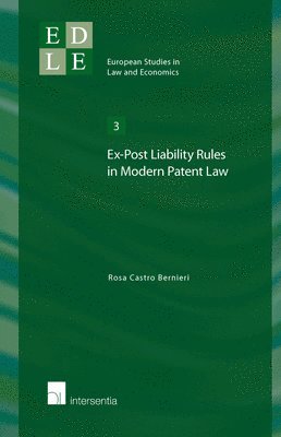 Rosa Castro Bernieri - Ex-Post Liability Rules in Modern Patent Law, Häftad