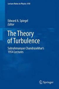 bokomslag The Theory of Turbulence