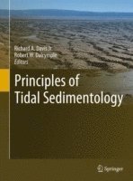 bokomslag Principles of Tidal Sedimentology