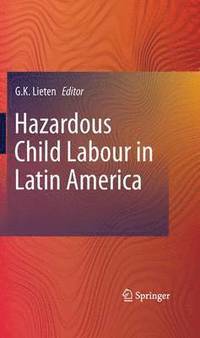 bokomslag Hazardous Child Labour in Latin America