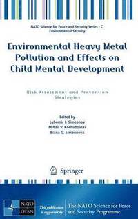 bokomslag Environmental Heavy Metal Pollution and Effects on Child Mental Development