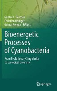 bokomslag Bioenergetic Processes of Cyanobacteria