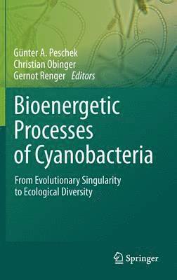 bokomslag Bioenergetic Processes of Cyanobacteria