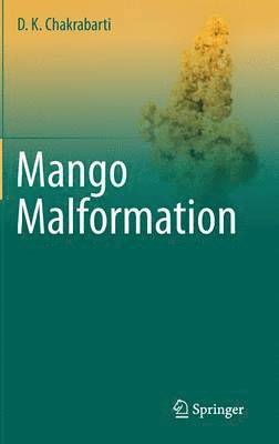 Mango Malformation 1