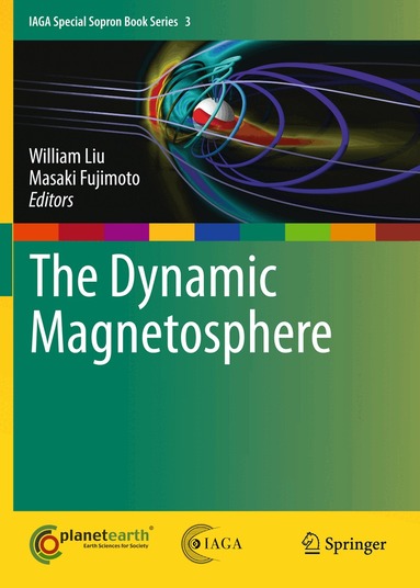 William Liu, Masaki Fujimoto - Dynamic Magnetosphere, Inbunden