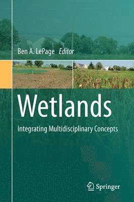 Wetlands 1