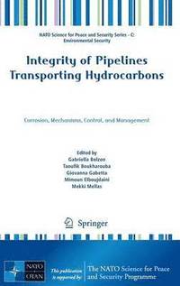 bokomslag Integrity of Pipelines Transporting Hydrocarbons